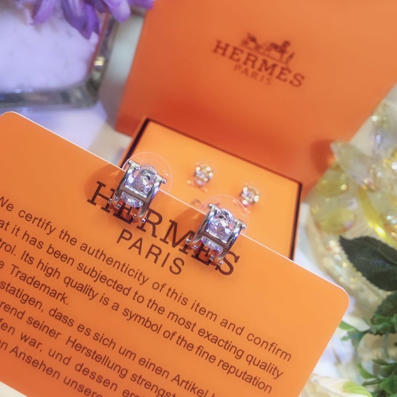 Hermes Earrings 33